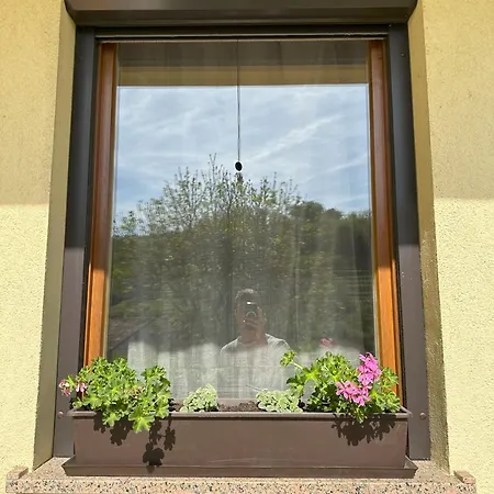 Apartma Anze Samec *