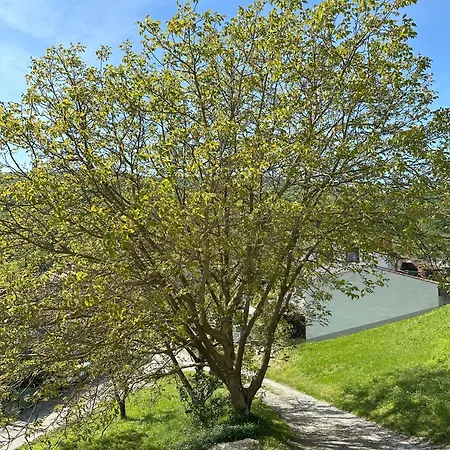 Apartman Apartma Anze Samec *