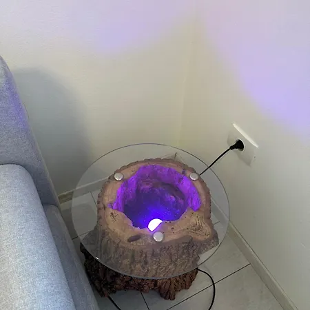 Apartma Anze Samec *