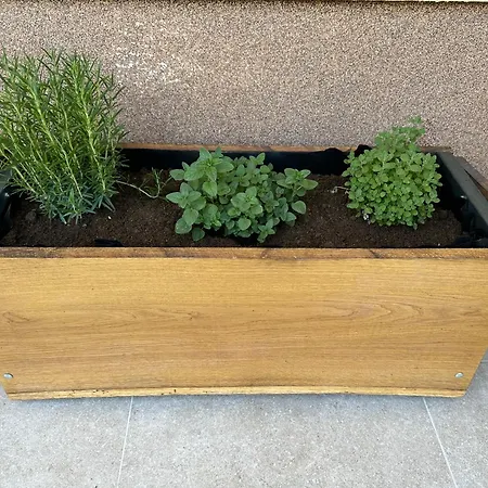 Apartma Anze Samec Apartman