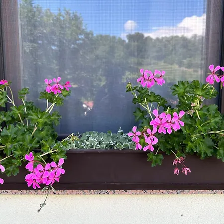 דירה Apartma Anze Samec