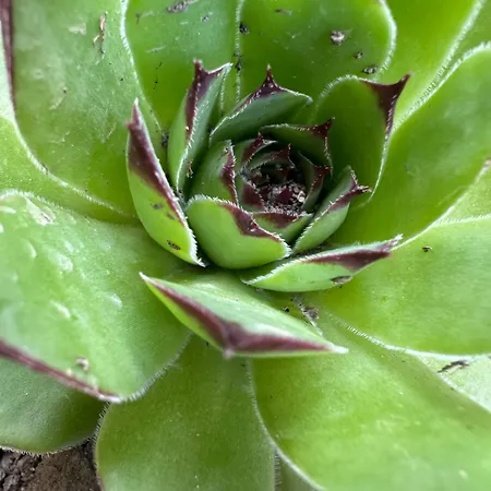 Apartman Apartma Anze Samec *