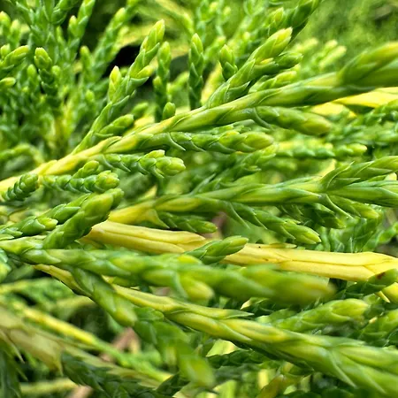 Apartma Anze Samec Apartamento *