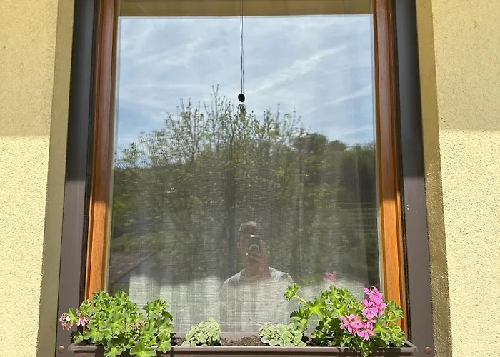 Apartma Anze Samec *