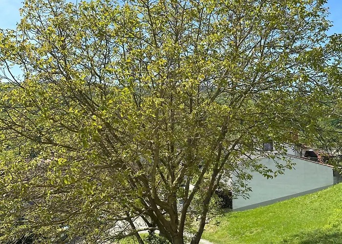 아파트 Apartma Anze Samec *