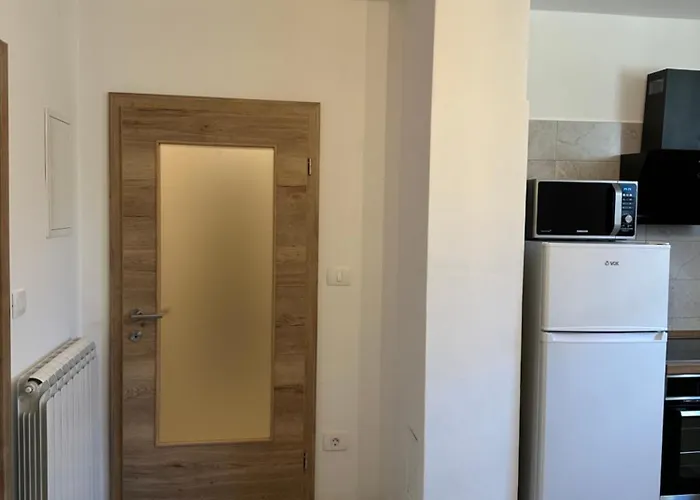 Apartma Anze Samec 아파트 Dobravlje