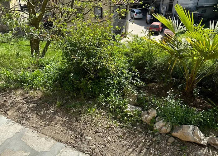 Apartma Anze Samec Dobravlje