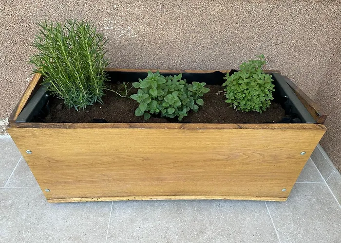 Apartma Anze Samec Daire