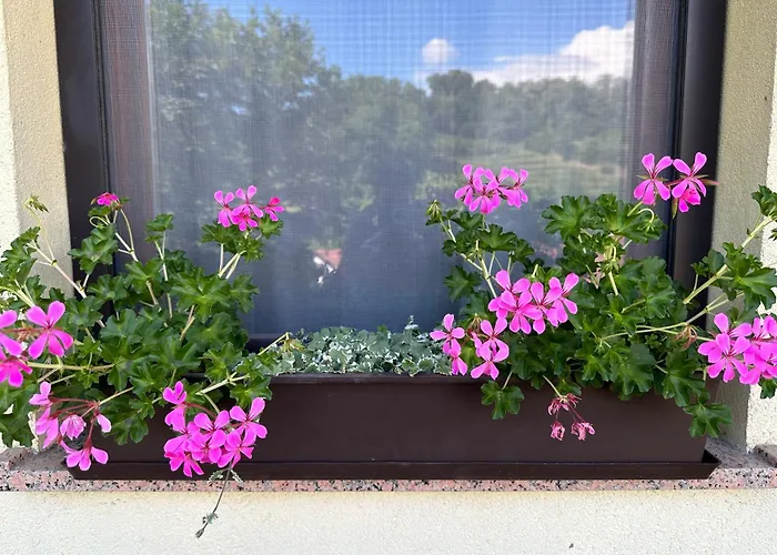 Daire Apartma Anze Samec