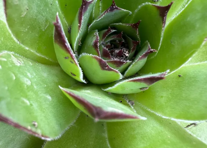 Apartma Apartma Anze Samec *