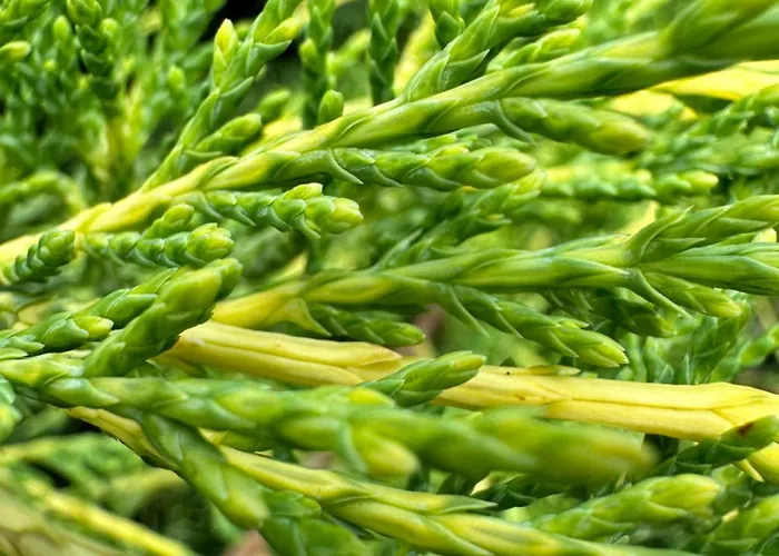 Apartma Anze Samec 아파트 *