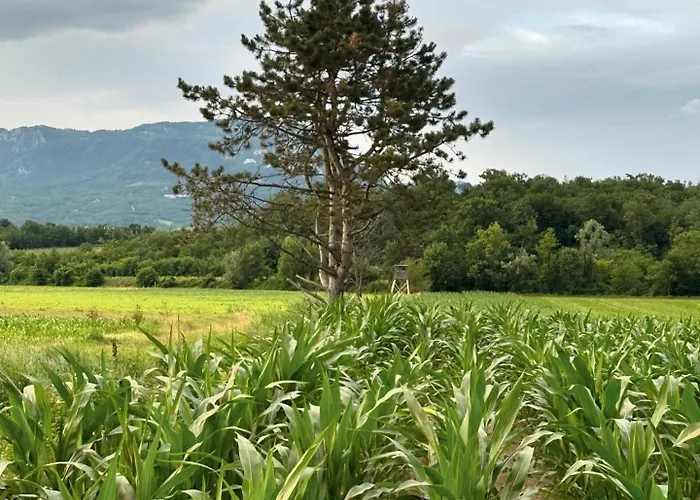 Apartma Anze Samec Apartma